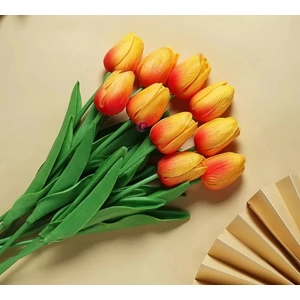 Szálas tulipán 35cm Piros-sárga /db