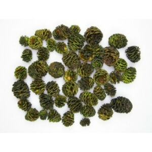 Salignum 50g/cs ZÖLD