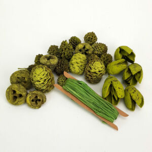 Kikelet terméscsomag, OLIVA