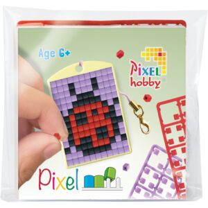 Pixel kulcstartó szett, színes alaplappal - KATICA