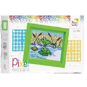 Pixel képkészlet kerettel - BÉKÁK