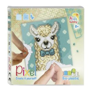 Pixel 4 alaplapos szett  - LÁMA