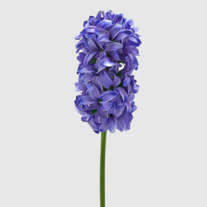 Művirág, Jácint kék 49cm
