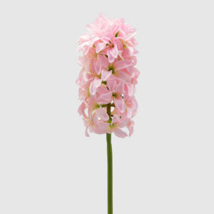 Művirág, Jácint kék 49cm