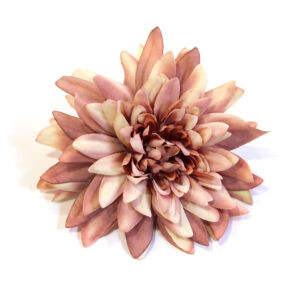 Művirág, krizantémfej mályva