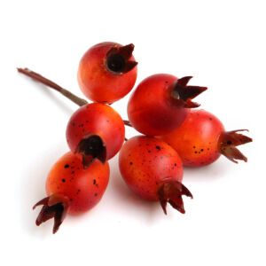 Csipkebogyó betűző 6db/cs 14cm