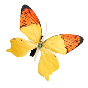 Pillangó csipeszen, 10cm