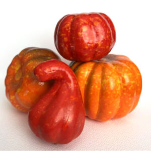 Vegyes tökök 6-8,5cm, 4db/cs B