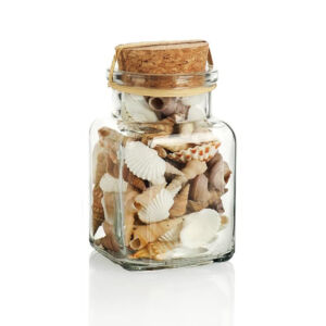 kagylók és csigaházak üvegben
