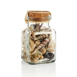 kagylók és csigaházak üvegben