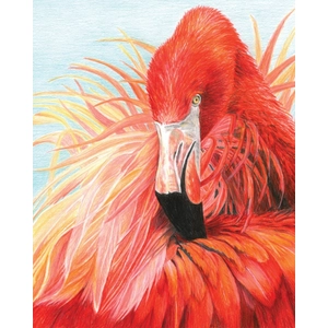 számozott színező flamingó