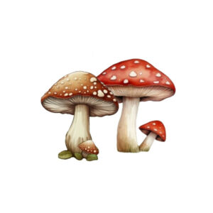 Színes fatábla - Gombák 4-5cm, 4db