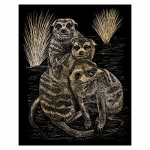 Karckép ezüst - Szurikáták