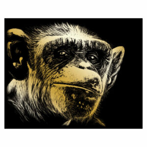 Karckép arany - Csimpánz 