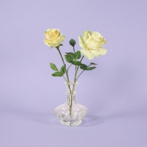 Papírfigura egységcsomag, TEARÓZSA