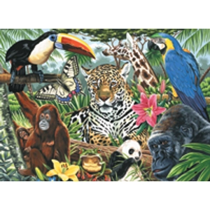 Számozott kifestő - Dzsungel állatai