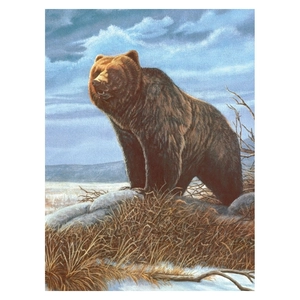 Royal Brush számozott kifestő Grizzly medve