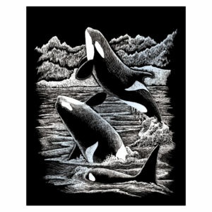 Karckép ezüst - Kardszárnyú delfin
