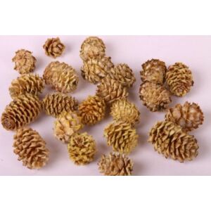 Salignum natúr 50g/cs