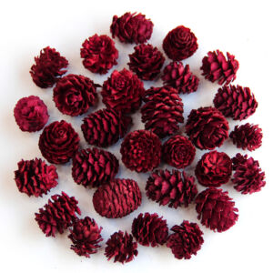 Salignum 50/g BORDÓ