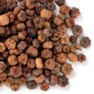 Liliputi tök 30g NATÚR