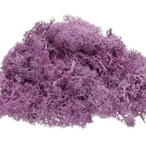 Izlandi moha 40g/cs Lila