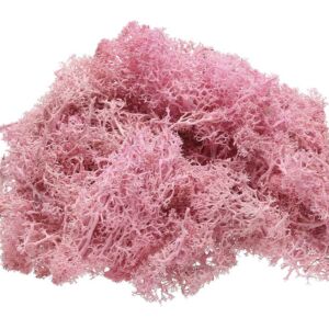 Izlandi moha 40g/cs, RÓZSASZÍN