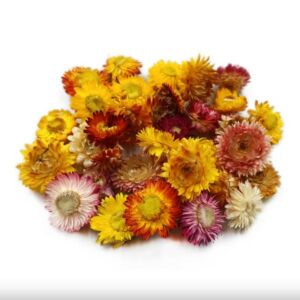 Szalmarózsa vegyes 15g/cs