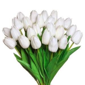 Szálas tulipán Fehér