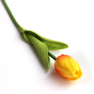 Szálas tulipán sárga-piros