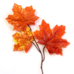 Falevelek őszi betűző