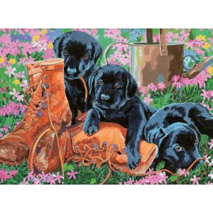 Számozott kifestő - Kutyusok a kertben