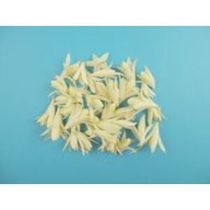 Csillag lili 10g/cs NATÚR