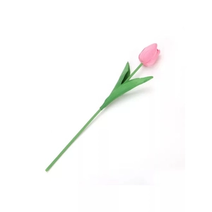 Kép 1/2 - szálas tulipán, rózsaszín