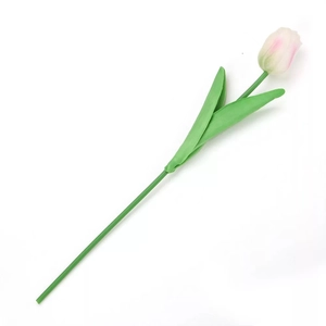 Kép 1/2 - szálas tulipán, halvány rózsaszín