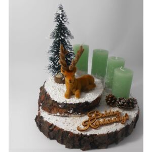 Kép 2/2 - Tölgyfa szelet 22-25cm