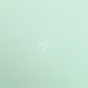 Kép 2/2 - Színes karton Maya A/4 270g - menta