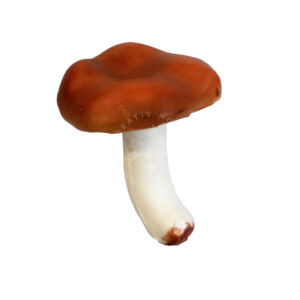 Kép 1/2 - Gumi gomba, barna