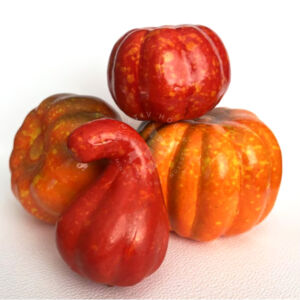 Kép 1/3 - Vegyes tökök 6-8,5cm, 4db/cs B
