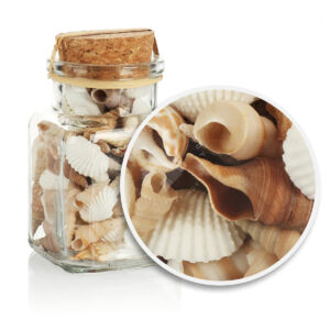 Kép 2/2 - kagylók és csigaházak üvegben