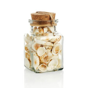 Kép 1/2 - kagylók és csigaházak üvegben