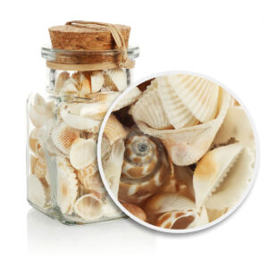 Kép 2/2 - kagylók és csigaházak üvegben