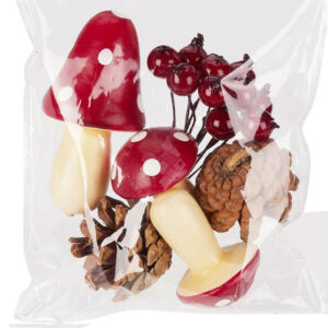 Kép 2/3 - Terméscsomag bogyóval és gombával B