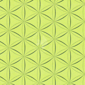 Kép 1/4 - Kreatív karton 270g, A/4 Zöld árnyalatok