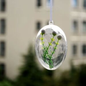 Kép 2/3 - Átlátszó műanyag tojás