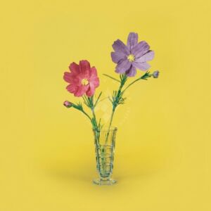 Kép 1/2 - Papírfigura egységcsomag, LEPKEVIRÁG