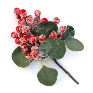 Kép 1/2 - Karácsonyi betűző piros bogyóval, deres 24cm