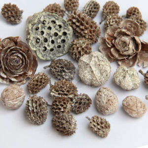 Kép 2/2 - Zúzmarás vegyes terméscsomag 50g