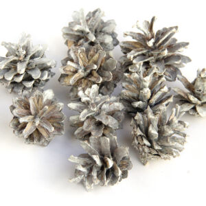 Kép 2/2 - Zúzmarás toboz 10db