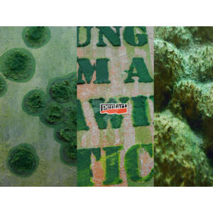 Kép 3/11 - moha hatás paszta